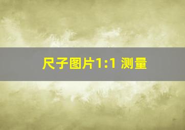 尺子图片1:1 测量